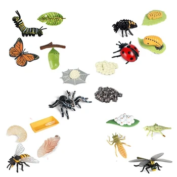 Фигурки на Жизнения цикъл на Пеперуди, Паяци, Пчели, калинка, водни Кончета, пластмасови Фигурки насекоми, играчки, Училищен Проект За Деца